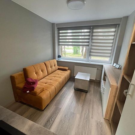 24H Self Check-In Cozy Visit Studio3 On The First Floor Kowno Zewnętrze zdjęcie
